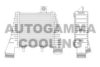 AUTOGAMMA 105722 Intercooler, charger